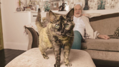 Worlds Oldest Cat: दुनिया की सबसे बूढ़ी बिल्ली की उम्र जानकर हो जाएंगे हैरान, 1995 में हुआ था जन्म