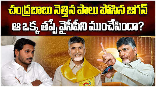 main reason for ysrcp defeat and tdp win in andhra pradesh assembly election result 2024
