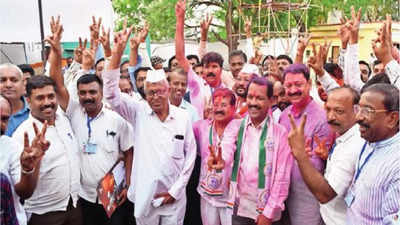 Dindori Loksabha Election Result 2024: वीस वर्षांनी गड सर; पवारांनी भाजपकडून खेचली दिंडोरी, जनमताच्या जोरावर भगरेंचा विजय