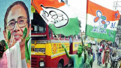 West Bengal Election Result: बंगालमध्ये तृणमूलची दीदीगिरी; का खालावली भाजपची कामगिरी? ३५ जागांवरचा दावा सपशेल फेल