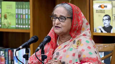 Sheikh Hasina : লোকসভা ভোট মিটতেই ভারত সফরে শেখ হাসিনা, কী পরিকল্পনা?