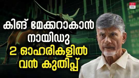 connection between chandrababu naidus victory and these stocks