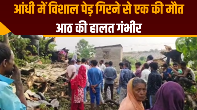 Bihar News: आंधी में विशाल पेड़ गिरने से एक की मौत, आठ की हालत गंभीर