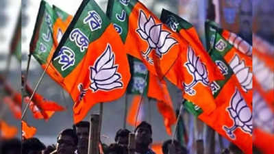 बुंदेलखंड में BJP के पुराने चेहरों ने डुबोई पार्टी की लुटिया, 3 सीटें हारने के बाद अब मंथन की तैयारी में पार्टी