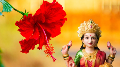 Flower For Lakshmi: ಲಕ್ಷ್ಮಿಗೆ ಈ ಹೂವನ್ನು ಅರ್ಪಿಸಿದರೆ ಕಾಲಿಟ್ಟಲೆಲ್ಲಾ ಅದೃಷ್ಟ ಹೆಗಲೇರುತ್ತೆ.!
