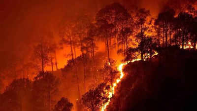जंगल की आग से निपटने की तैयारी, कैबिनेट सचिव ने अधिकारियों के साथ मिलकर बनाया प्लान