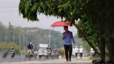 यूपी में थमा बारिश का सिलसिला, फिर कहर  बरपाएगी गर्मी, कई जिलों में भीषण लू का अलर्ट