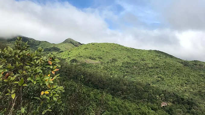 ತಡಿಯಾಂಡಮೋಲ್