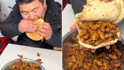 Keede Wala Burger: चीन में बिक रहा है कीड़ों से भरा बर्गर, वीडियो वायरल होते ही इंटरनेट पर मचा तहलका