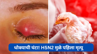धोक्याची घंटा! H5N2 मुळे पहिला मृत्यू, WHO चा इशारा,चिकनमधूनही पसरतो व्हायरस? मेंदूला येते सूज अजिबात दुर्लक्ष नको