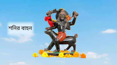 Shani Puja: কাক বা মহিষ নয়, এই বাহনের উপর শনি ঠাকুরকে দেখলে ভাগ্য খুলবে রাতারাতি! পূরণ হবে মনের সব ইচ্ছে