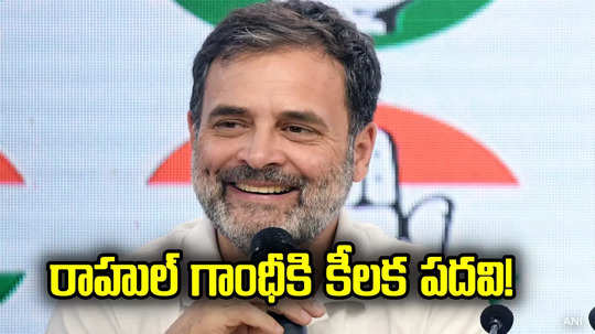 Rahul Gandhi: ఎన్నికల్లో ఇండియా కూటమి ఓటమి.. రాహుల్ గాంధీకి కీలక పదవి!