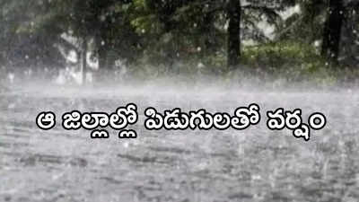 Andhra Pradesh Rains: నైరుతి ఎఫెక్ట్.. నేడు పలు జిల్లాల్లో గాలివాన