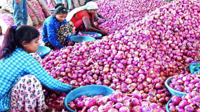 आलू-प्याज की कीमतों में आया उछाल, मुंबई और ठाणे में सब्जियों की आपूर्ति में भारी गिरावट, जानें मंडियों के हाल