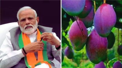PM Modi को बचपन से पसंद है ये देसी फल, कैंसर से डायबिटीज तक 10 बीमारियों का बजा देता है बैंड