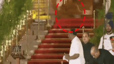 मंच पर मंत्री ले रहे शपथ, राष्ट्रपति भवन में पीछे टहल रहा था तेंदुआ! क्या है इस वीडियो का रहस्य