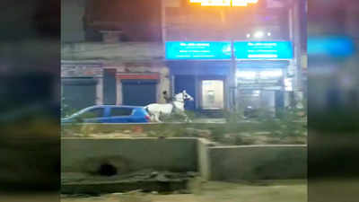 Delhi Video: दिल्ली में विधायक जी का घोड़ा दौड़ाते दिखा जय सिंह राठौड़! वीडियो देख पब्लिक को पंचायत 3 की याद आ गई