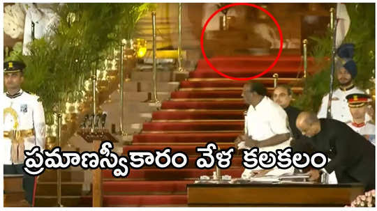 Rashtrapati Bhavan: ప్రమాణస్వీకారం చేస్తుంటే వెనుక నుంచి వెళ్లిన ఆ జంతువు ఏంటి? పులేనా..?