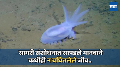 समुद्रात सापडले मानवाने कधीही न बघितलेले जीव, समुद्रात 5.5 किलोमीटर खोलवर करण्यात आले संशोधन