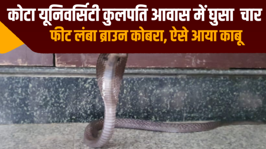 four feet long brown cobra entered the kota university vice chancellor residence