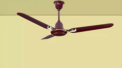 बंपर डिस्‍काउंट पर मिल रहे हैं ये Ceiling Fan For Home, फैन ऑन करते ही कमरे में आ जाएगी आंधी वाली तेज हवा