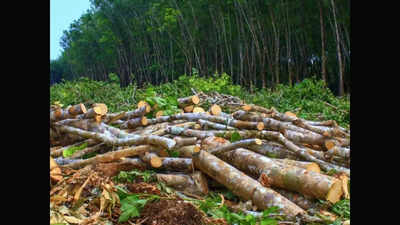 22 साल से बंद कंपनी में काट दिए 1 हजार से ज्यादा पेड़, नोएडा में वन विभाग ने जब्त किया कटे पेड़ों से भरा ट्रक
