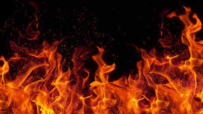 बिजली मीटर में शॉर्ट सर्किट से लगी आग, गोरखपुर में दो बच्चियों मौत, 6 लोग गंभीर रूप से जख्‍मी