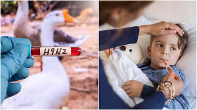 Bird Flu Symptoms: বাংলায় ৪ বছরের মেয়ের শরীরে মিলল বার্ড ফ্লু ভাইরাস, ঝটপট উপসর্গ জেনে নিন