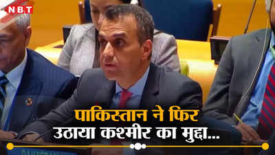 कश्‍मीर को लेकर भारत के खिलाफ लगाए आरोपों पर संयुक्‍त राष्‍ट्र ने नहीं दिया भाव तो बौखलाया पाकिस्‍तान, निकाली भड़ास