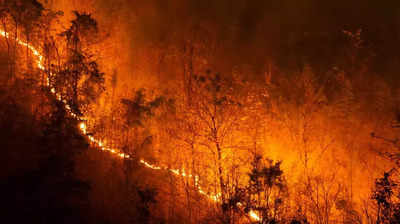 Uttarakhand Jungle: अल्मोड़ा के जंगल में आग, चार लोगों की मौत, मरने वाले वन विभाग के कर्मचारी