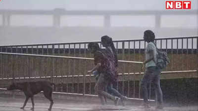 Maharashtra Rain Update: अगले 5 दिनों तक विदर्भ में बारिश, महाराष्ट्र  के इन 16 जिलों में IMD का येलो अलर्ट