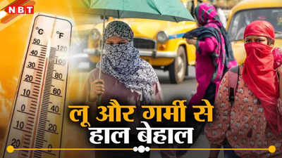 दिल्ली, ओडिशा, राजस्थान... तपती गर्मी निकाल रही पसीना, इस साल लू ने तोड़े पुराने रिकॉर्ड