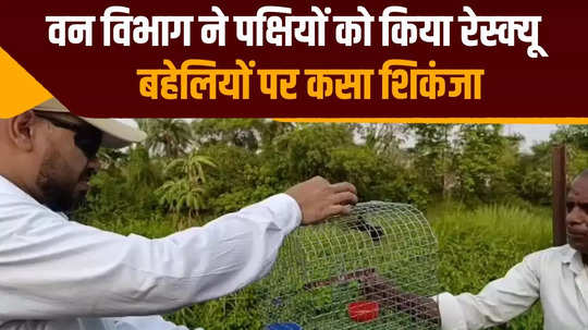 muzaffarpur forest department freed birds from captivity tightened the noose on fowlers