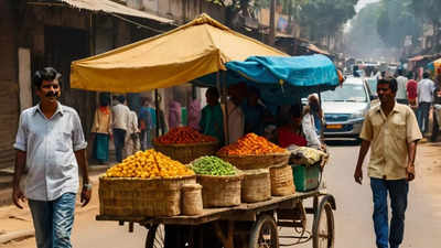 दिल्ली की गर्मी ने स्ट्रीट वेंडर्स की कमाई पर भी डाला असर, लू में ब्रेक न मिलने के बाद भी घटी आय