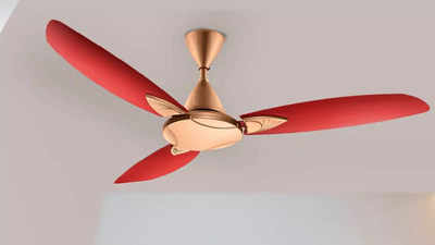 कमरा बनेगा हवामहल जब चलेंगे ये Ceiling fan, 1500 रुपये से कम में मिल रहे हैं गर्दा उड़ा देने वाले पंखे