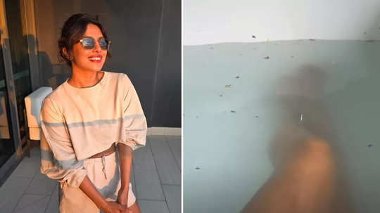 प्रियंका चोपड़ा ने ऑस्ट्रेलिया से शेयर कीं ढलती शाम की खूबसूरत तस्वीरें, बाथटब वाले वीडियो ने खींचा ध्यान