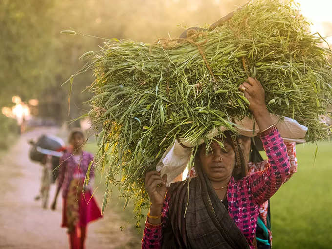 ​গ্রামের নামটি দুয়ারসিনি​