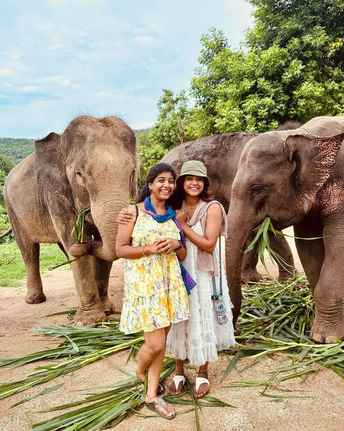 పొట్టి బట్టల్లో వితిక సందడి.. ఏనుగుతో ఫుల్ చిల్