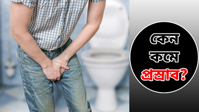 Low Urine Output: হঠাৎ কমেছে প্রস্রাব? পিছনে কোন কোন কারণ? আলোচনায় বিশিষ্ট চিকিৎসক