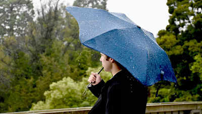 धूप हो या मूसलाधार बारिश हर परेशानी में खड़े रहेंगे ये Umbrella, 82% तक का डिस्काउंट देख लगी खरीदारों की कतार