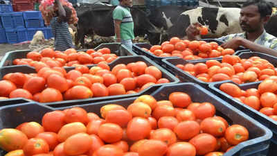 Tomato Rate: ఏపీలో షాకిస్తున్న టమాటా ధరలు.. కేజీ ఎంతంటే!