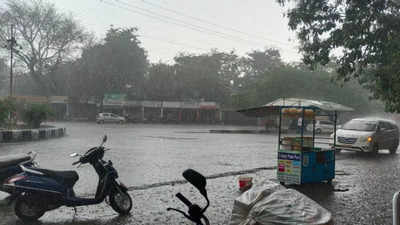Rain In MP: अशोकनगर में झमाझम बारिश से लबालब हो गईं सड़कें, आकाशिय बिजली गिरने से 2 मवेशियों की मौत