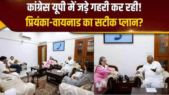 why did rahul gandhi choose rae bareli instead of wayanad change in congress strategy