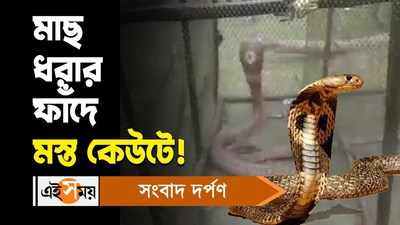 Hingalganj Cobra Panic : মাছ ধরার ফাঁদে মস্ত কেউটে! জানুন বিস্তারিত