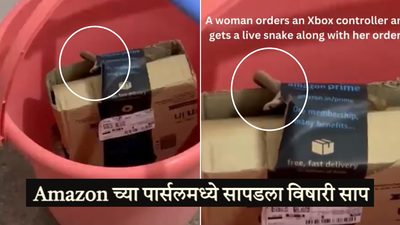 Snake In Amazon Order: ना दगड…ना साबण…ना लाकडाचा भूगा, पार्सलमध्ये सापडला जिवंत विषारी साप