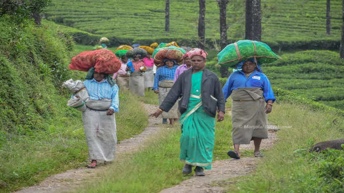 ​பரிதவிக்கும் மாஞ்சோலை தொழிலாளர்கள்!