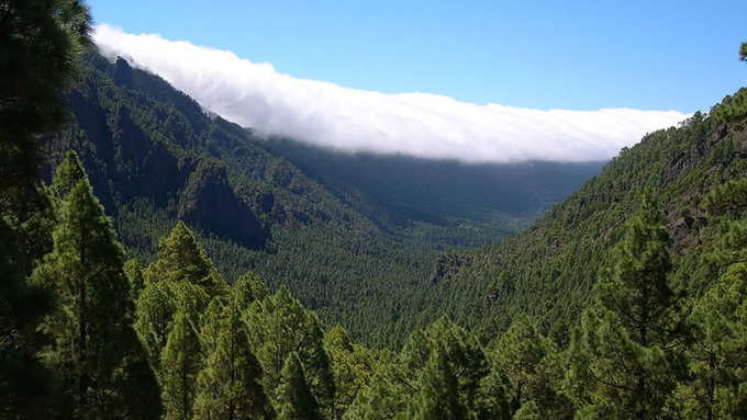 ಲಾ ಪಾಲ್ಮಾ, ಕ್ಯಾನರಿ ದ್ವೀಪಗಳು, ಸ್ಪೇನ್