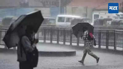 Maharashtra Rain News: कुठे विजेच्या कडकडाटासह मुसळधार, तर कुठे हलक्या सरी; २० जूनला काय असेल तुमच्या शहरातील पावसाची स्थिती