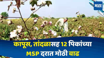 Crop MSP Rate Increase : मोदी सरकारची शेतकऱ्यांसाठी मोठी घोषणा, 14 पिकांच्या एमएसपी दरात केली मोठी वाढ