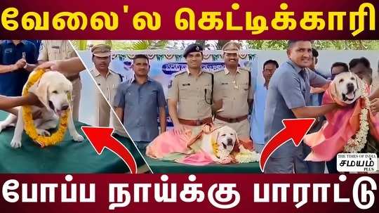 sniffer dog tara retired from police service